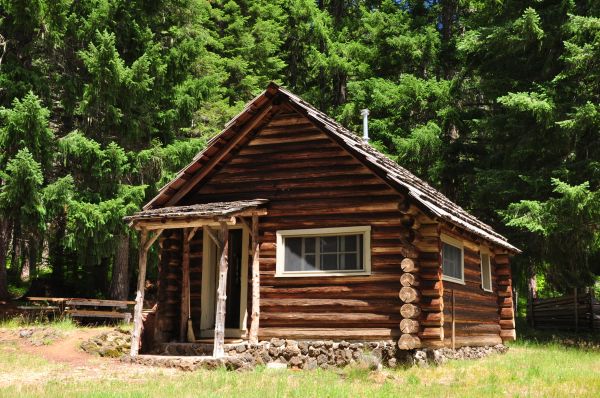 Log Home Restoration