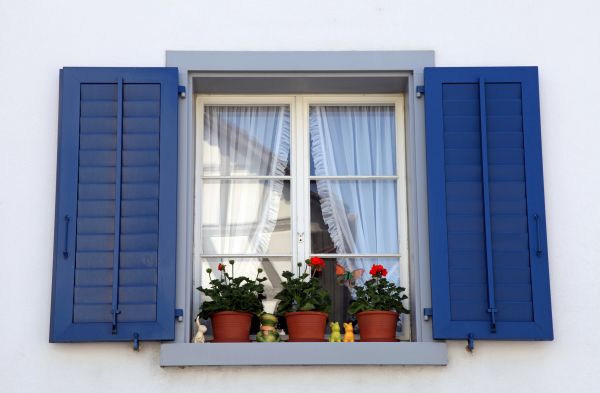 Exterior Shutter Painting
