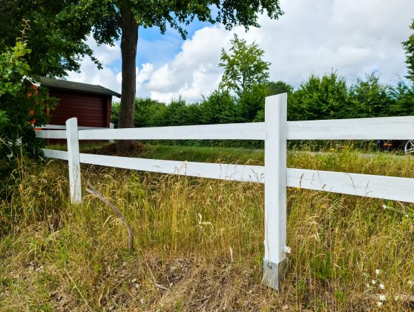 Pasture Fence Painting