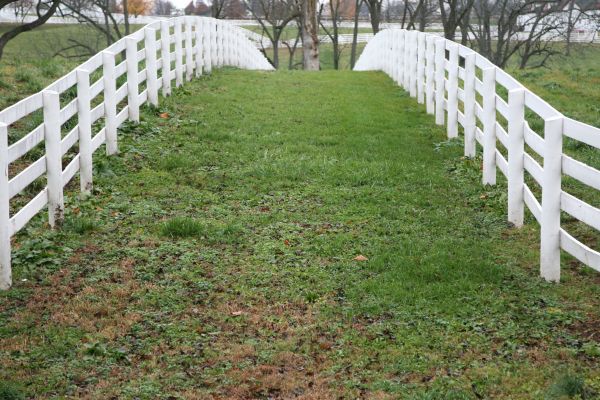 Horse Enclosure Painting
